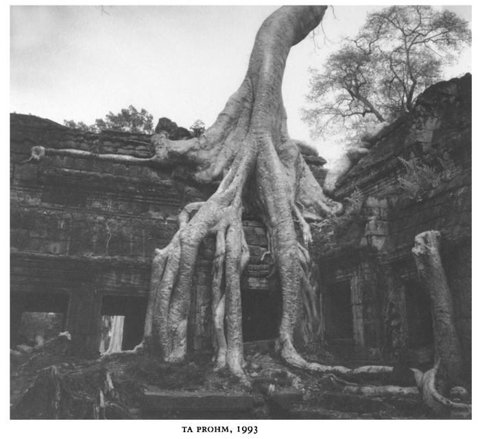 All/document/Documents/Divers/Angkor/id296/photo007.jpg